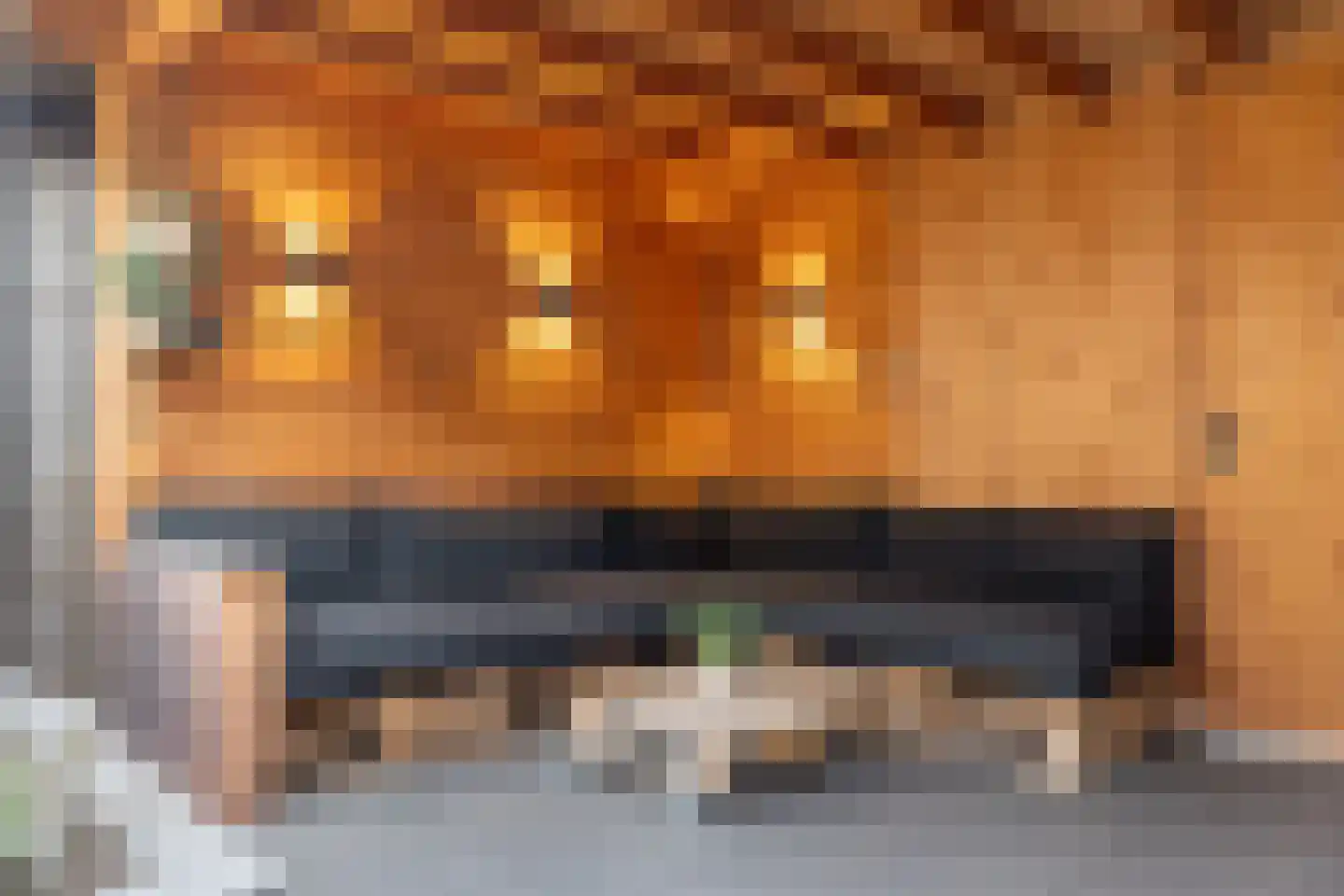 Drostenstraat 43 A Holten thumbnail 31