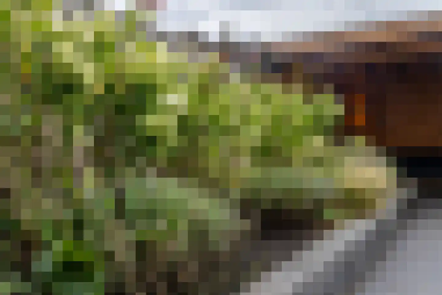 Drostenstraat 43 A Holten thumbnail 32