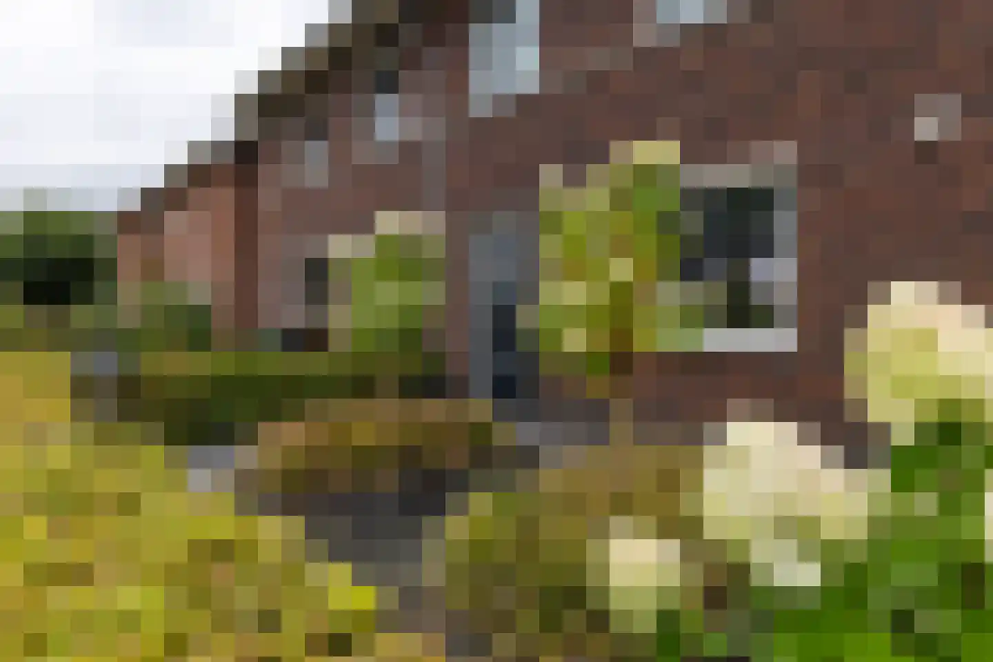 Drostenstraat 43 A Holten thumbnail 36