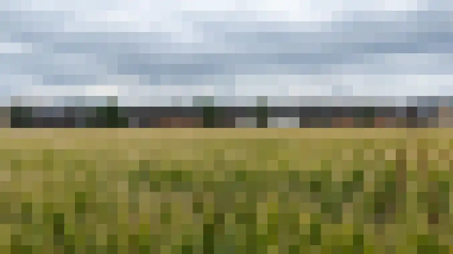 Drostenstraat 43 A Holten thumbnail 38