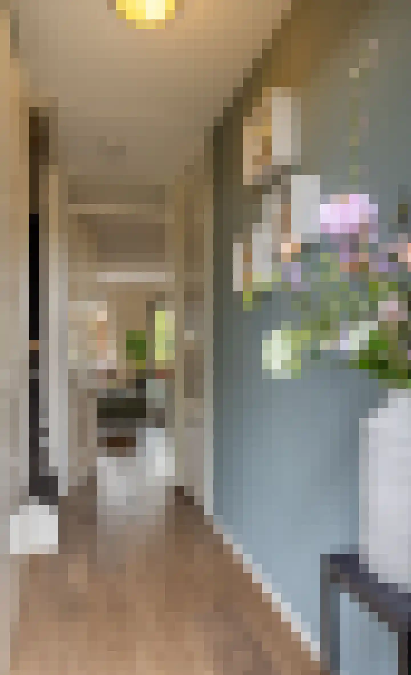 Drostenstraat 43 A Holten thumbnail 4