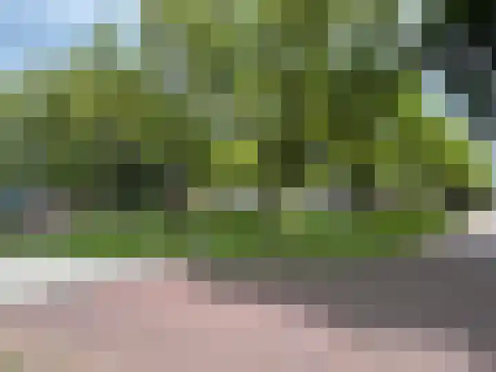 Drostenstraat 55 Coevorden thumbnail 11