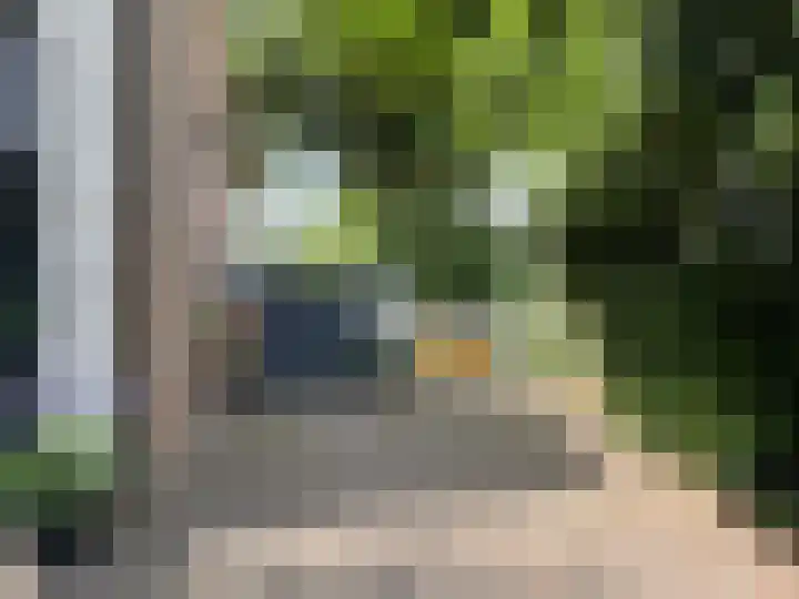 Drostenstraat 55 Coevorden thumbnail 6