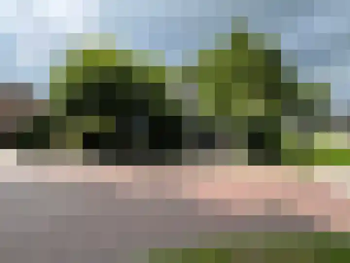 Drostenstraat 55 Coevorden thumbnail 8