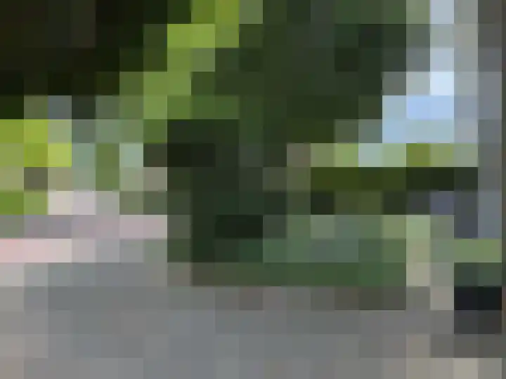 Drostenstraat 55 Coevorden thumbnail 9