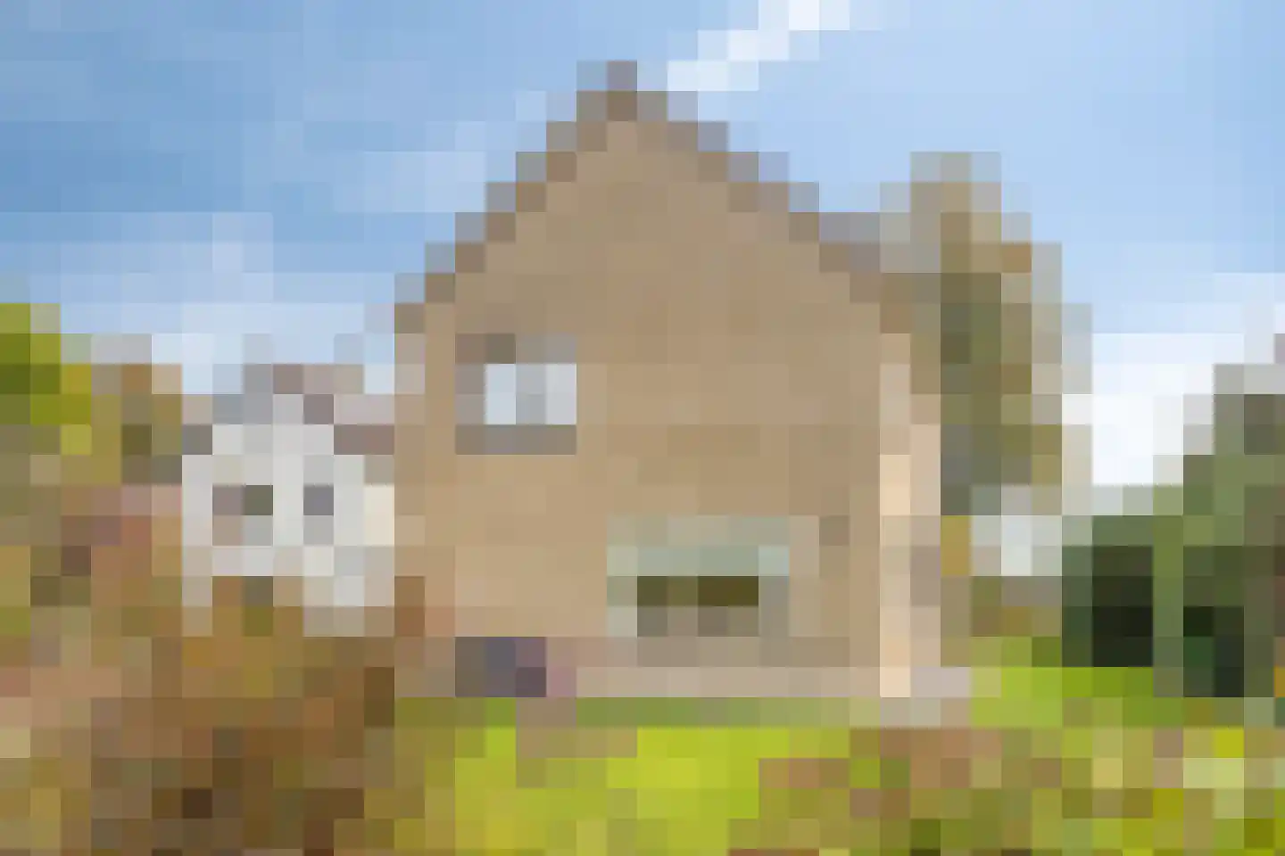 Drostenweg 10 Hellendoorn thumbnail 40