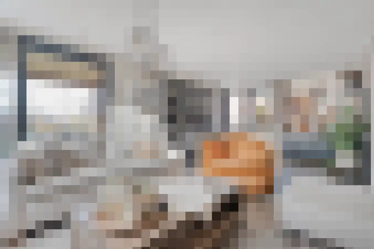 Drosteweg 19 Saasveld thumbnail 13