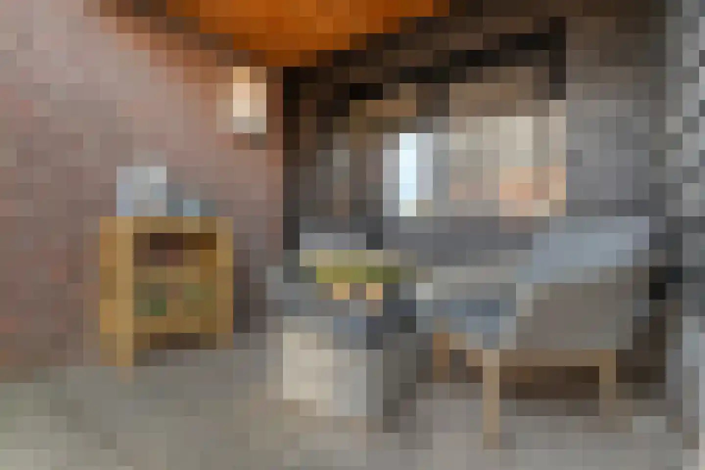 Drosteweg 19 Saasveld thumbnail 23