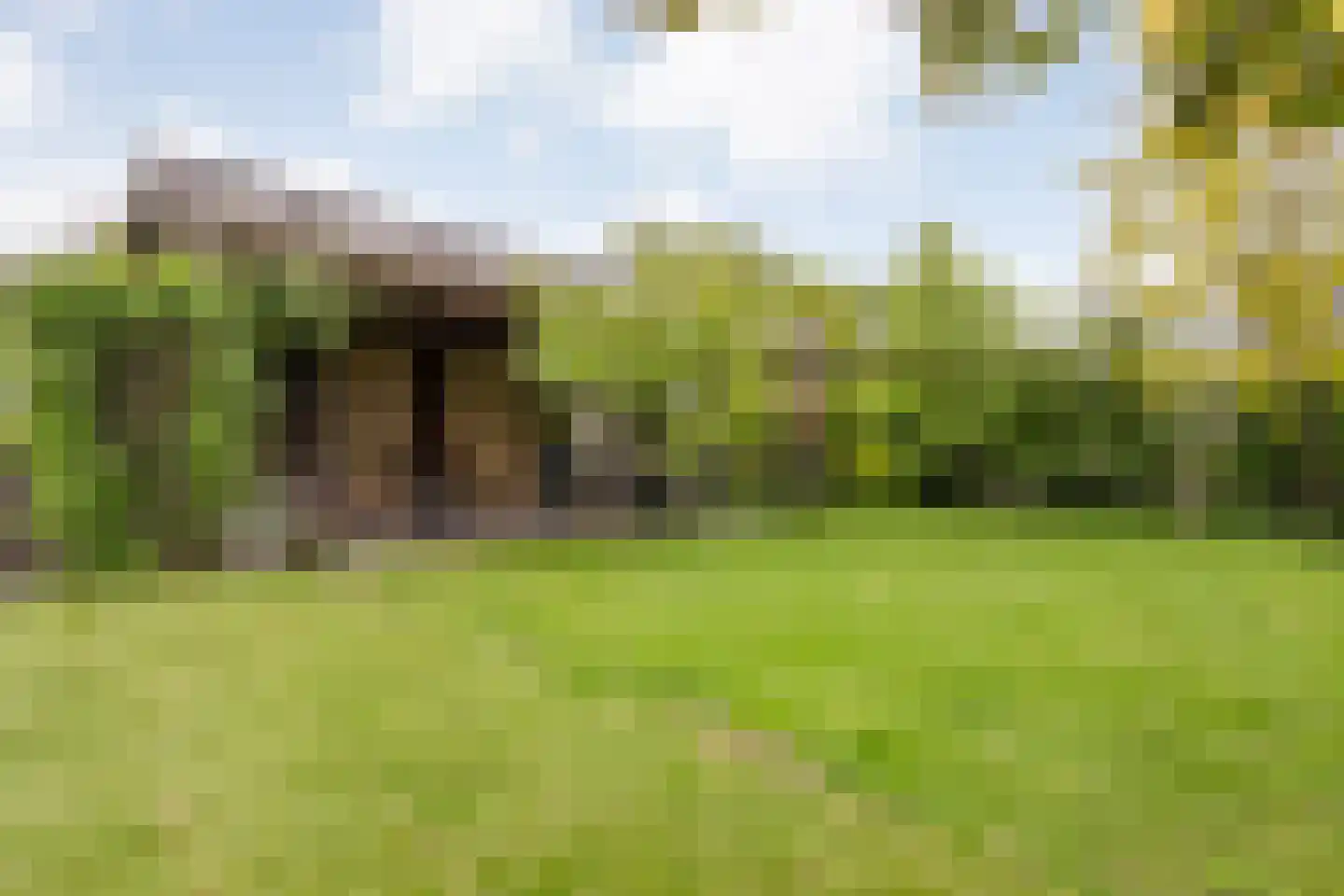 Drosteweg 19 Saasveld thumbnail 24