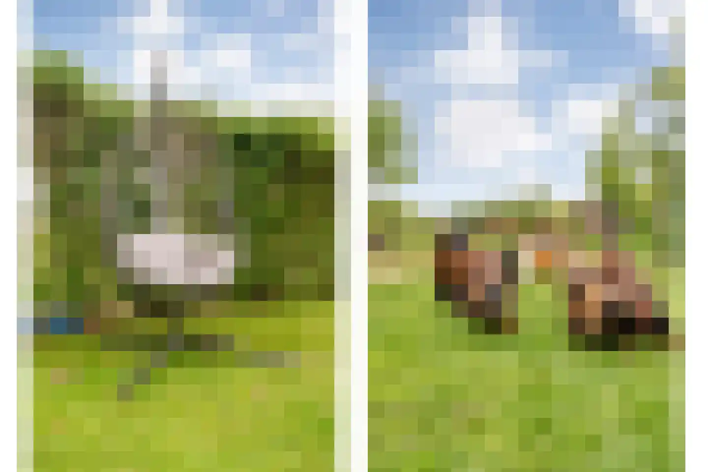 Drosteweg 19 Saasveld thumbnail 26