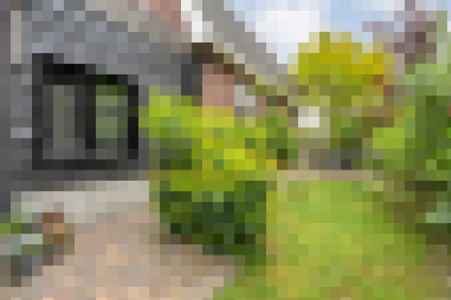 Drosteweg 19 Saasveld thumbnail 28