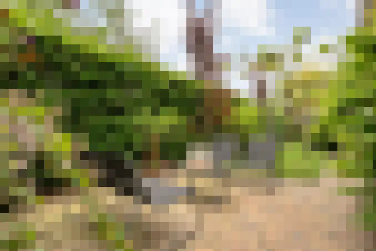 Drosteweg 19 Saasveld thumbnail 29
