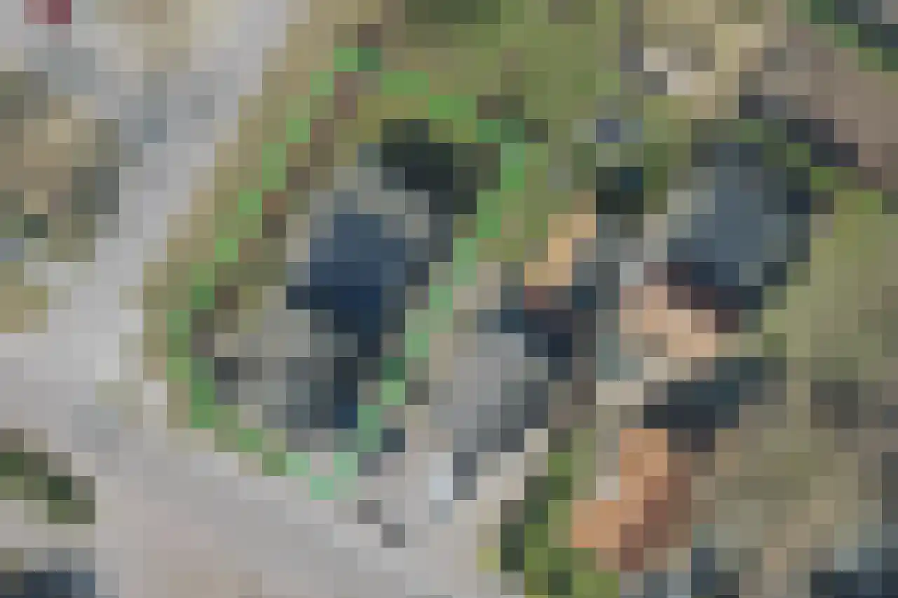Drosteweg 19 Saasveld thumbnail 31