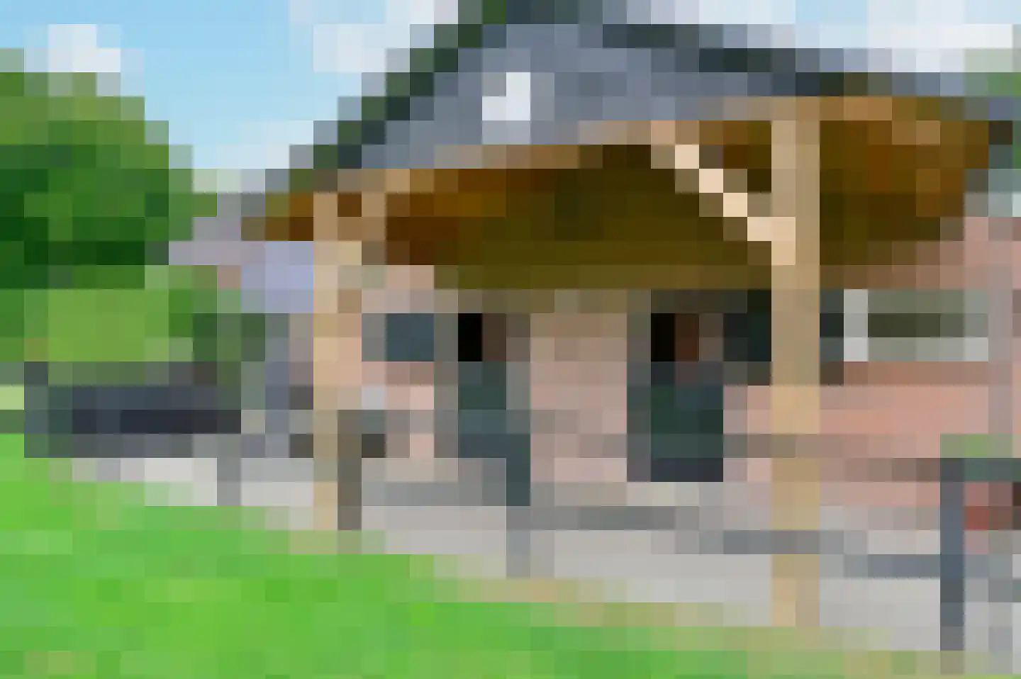 Drosteweg 23 Putten thumbnail 4