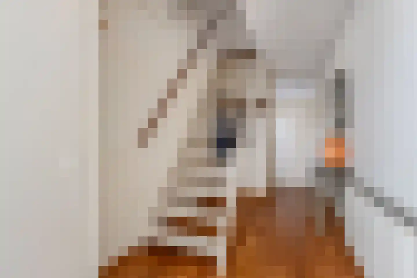 Drostlaan 19 Emmeloord thumbnail 18