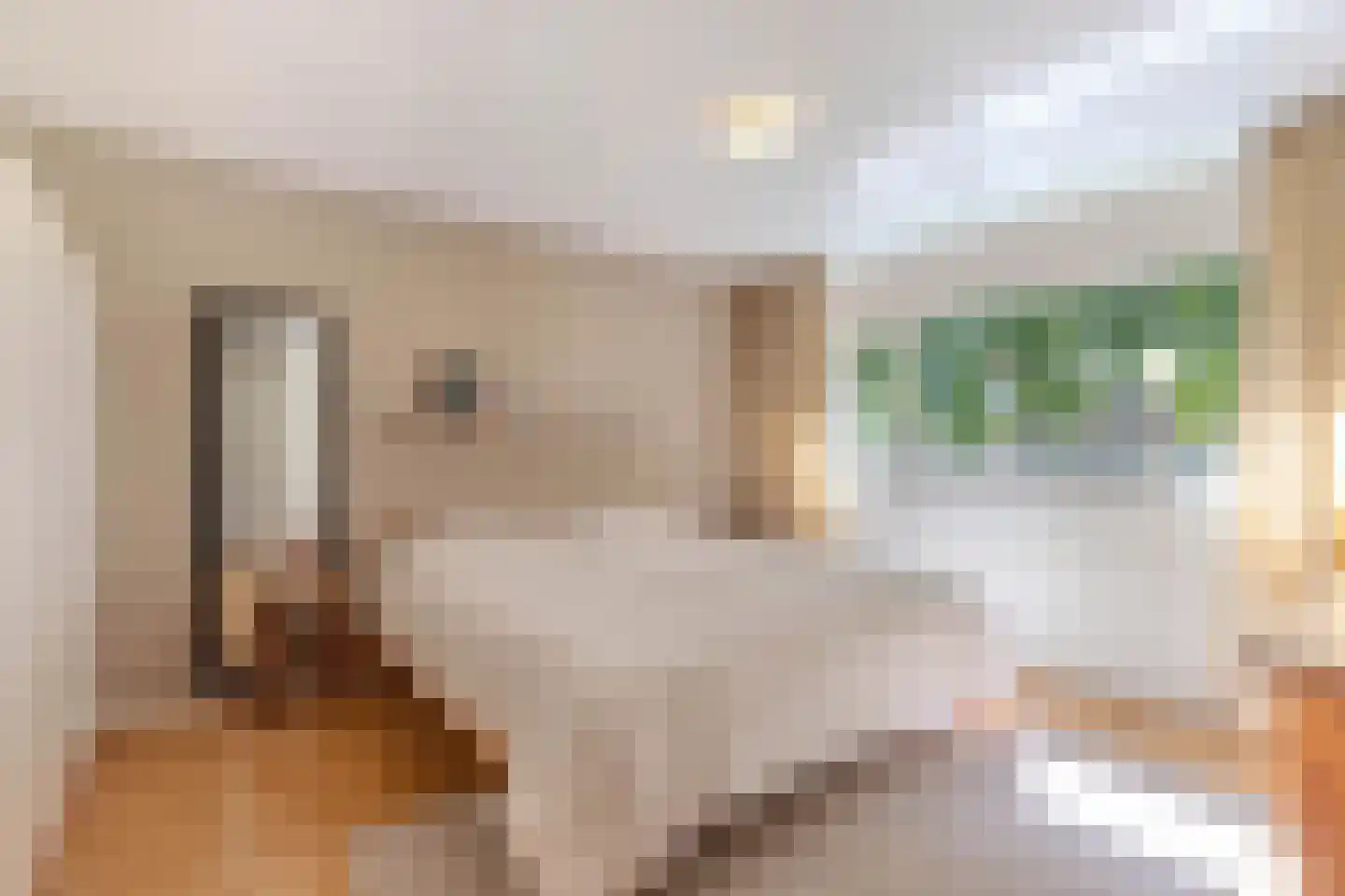 Drostlaan 19 Emmeloord thumbnail 19