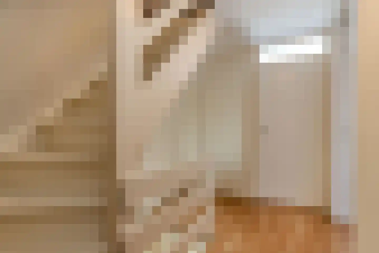 Drostlaan 19 Emmeloord thumbnail 28