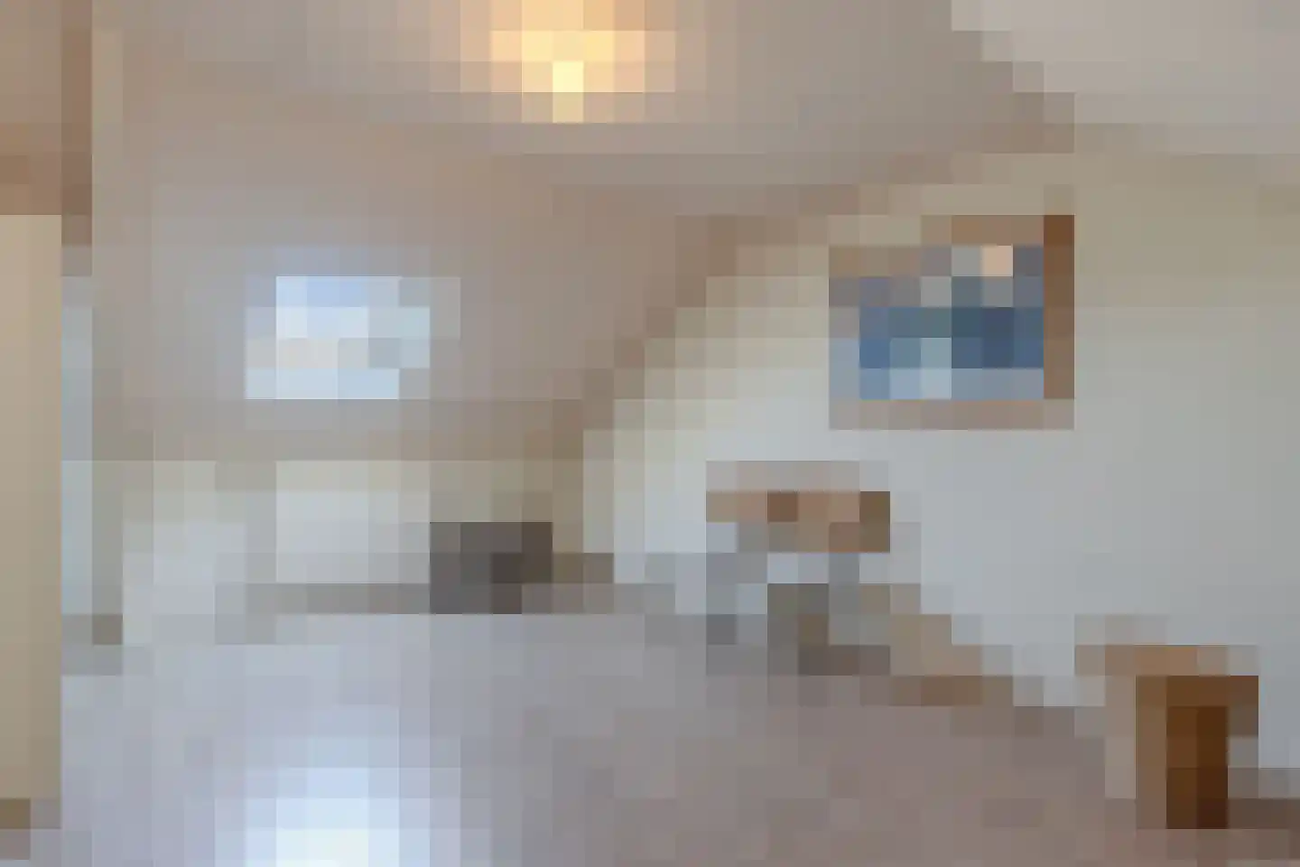 Drostlaan 19 Emmeloord thumbnail 30