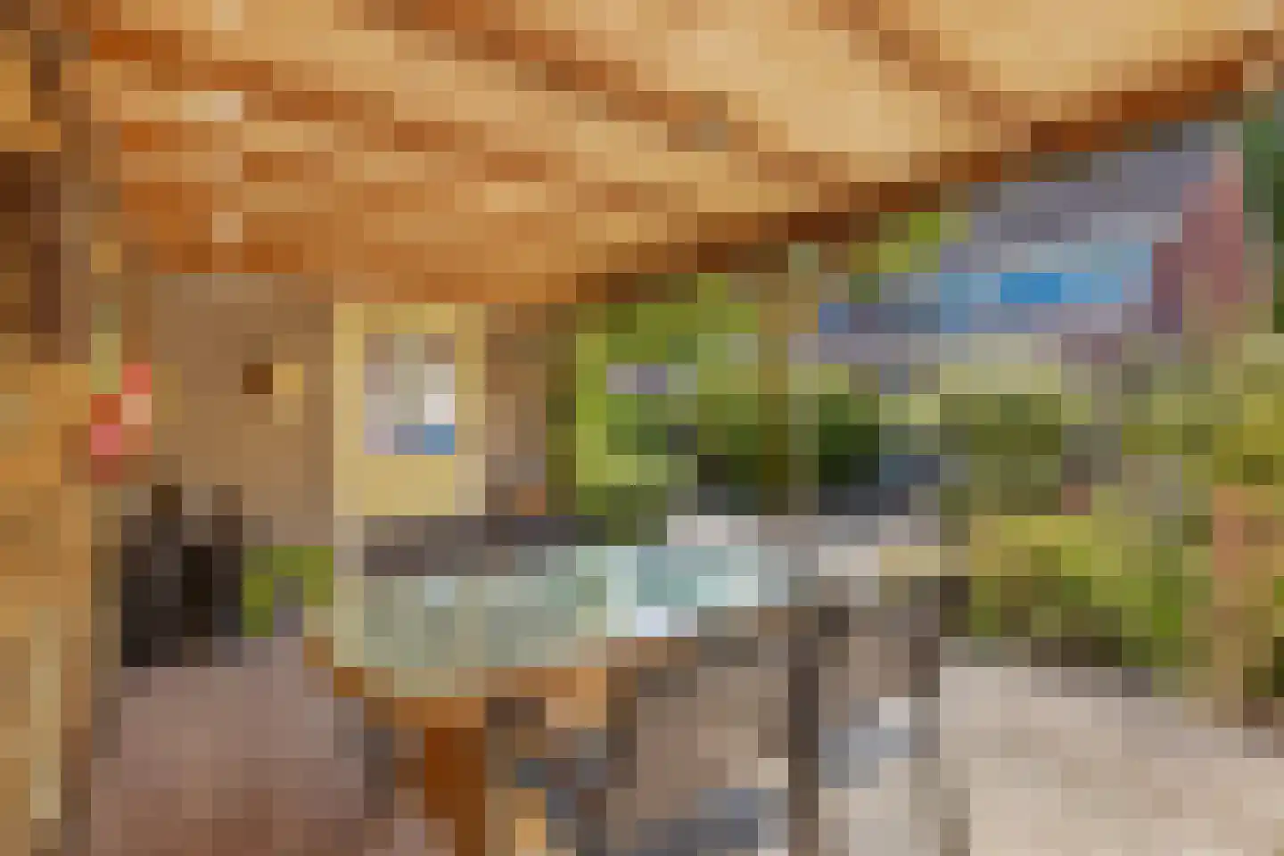 Drostlaan 19 Emmeloord thumbnail 34