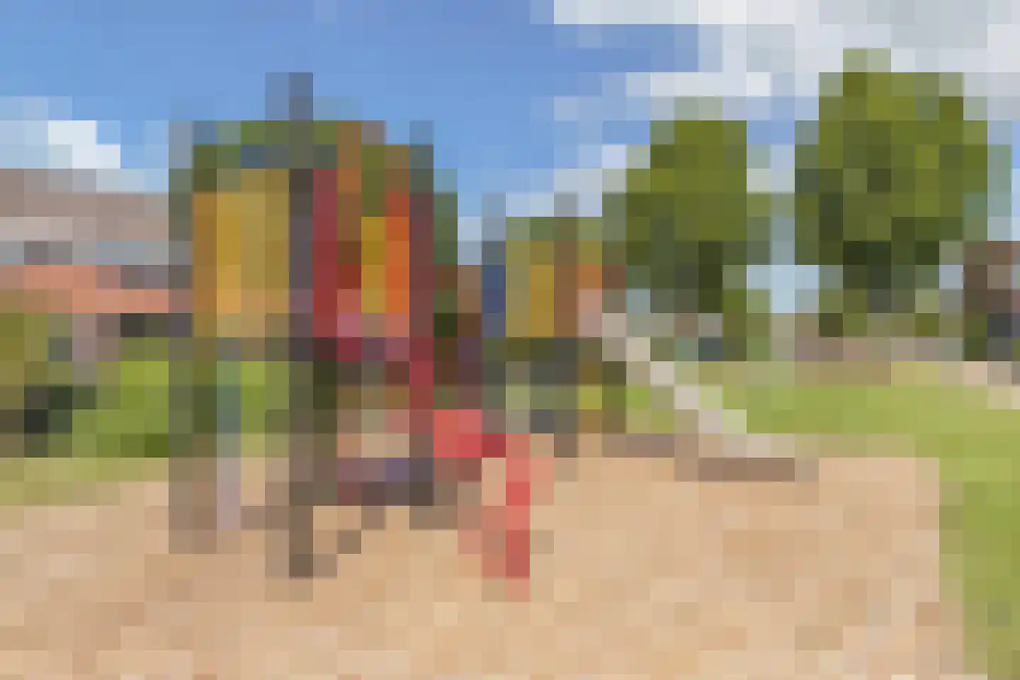 Drostlaan 19 Emmeloord thumbnail 39