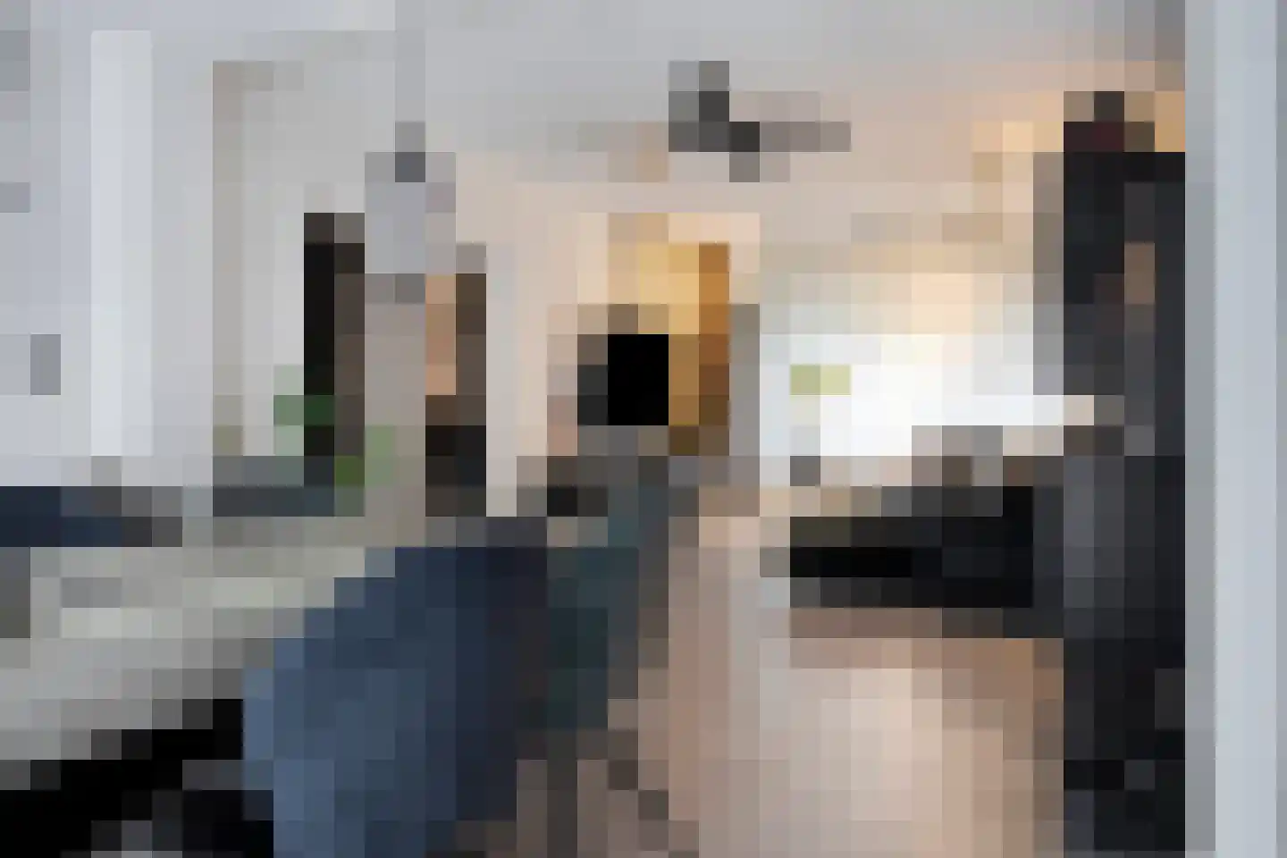 Drostlaan 30 Sluiskil thumbnail 10