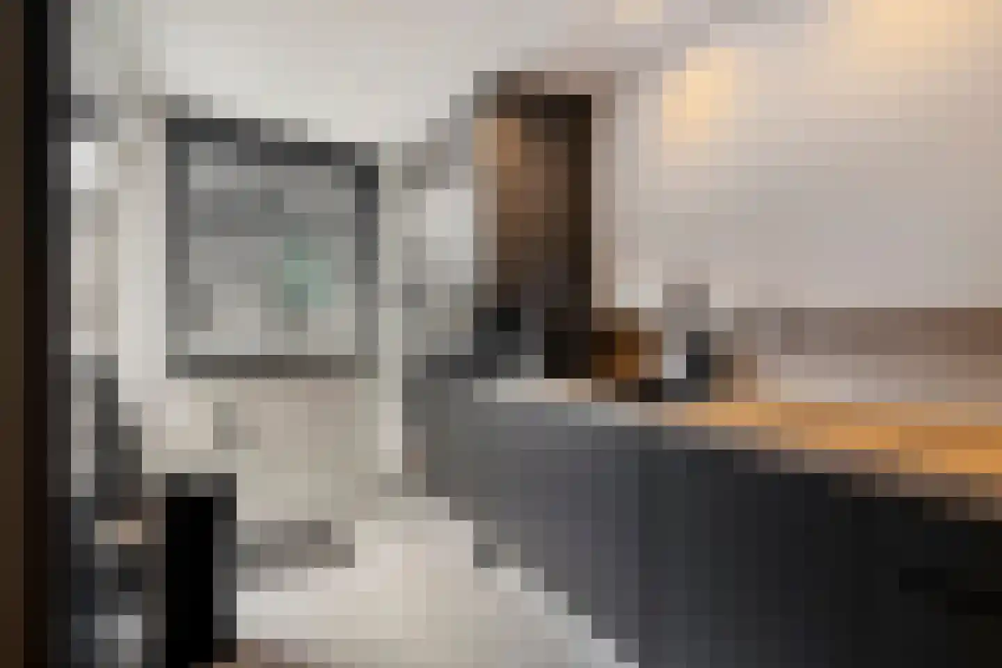 Drostlaan 30 Sluiskil thumbnail 12