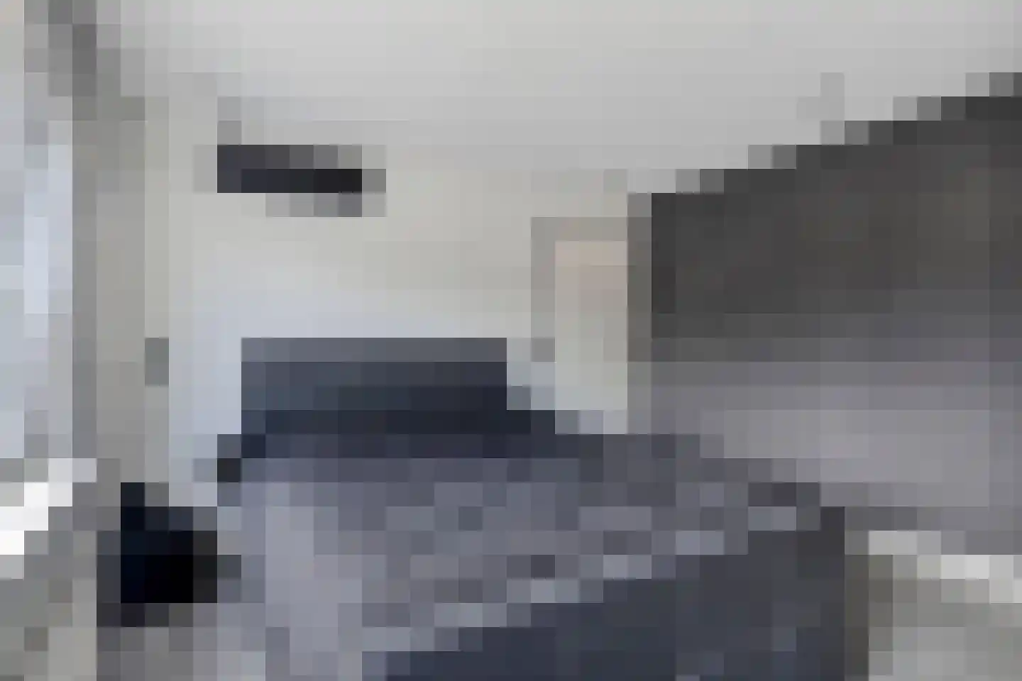 Drostlaan 30 Sluiskil thumbnail 17
