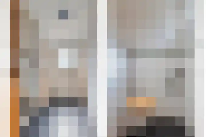 Drostlaan 34 Sluiskil thumbnail 13