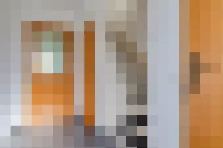 Drostlaan 34 Sluiskil thumbnail 14