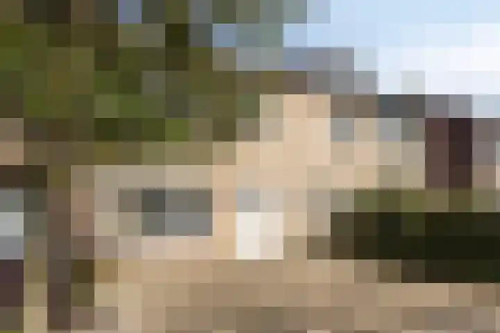 Drostlaan 34 Sluiskil thumbnail 23