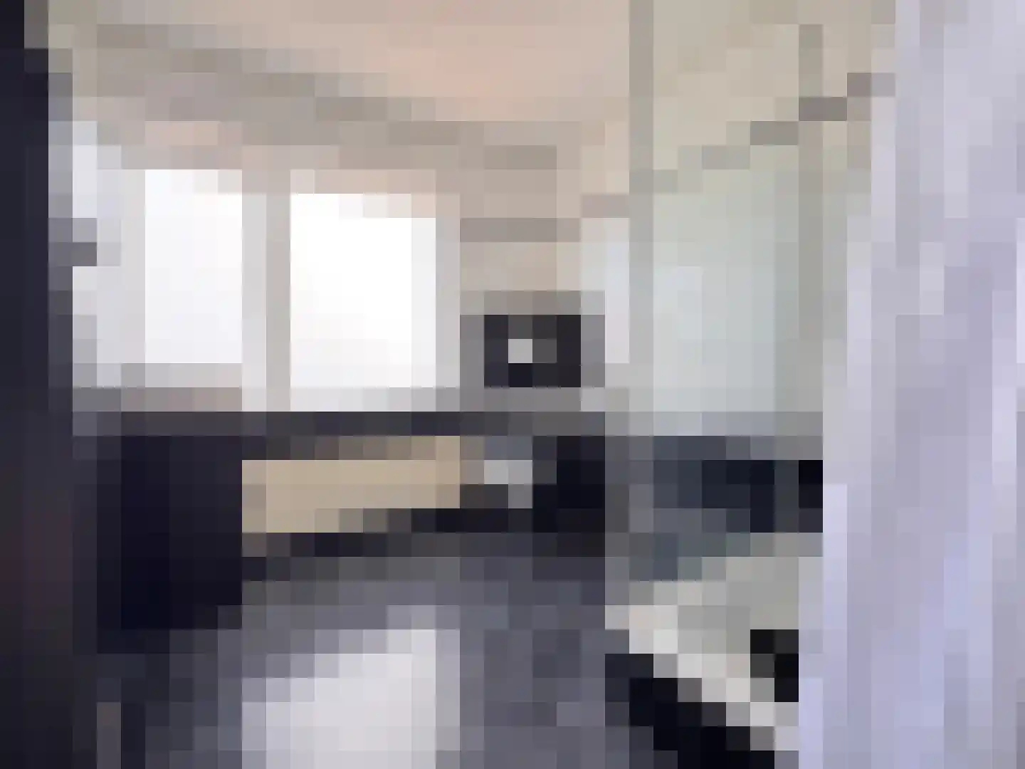 Drostlaan 38 Sluiskil thumbnail 11
