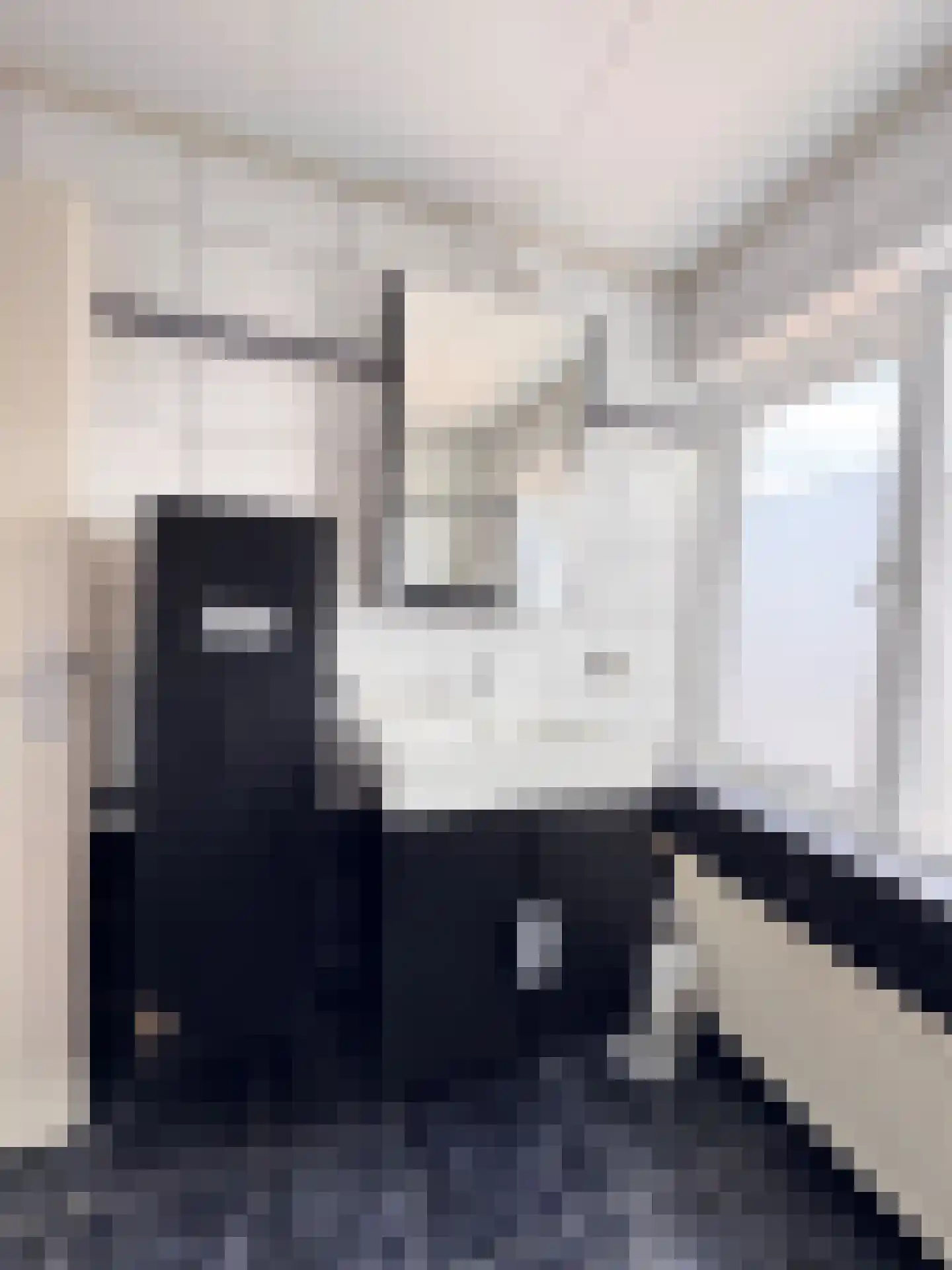 Drostlaan 38 Sluiskil thumbnail 12