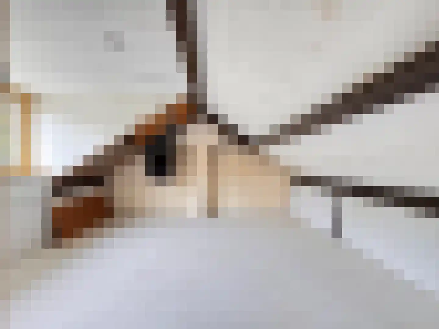 Drostlaan 38 Sluiskil thumbnail 14