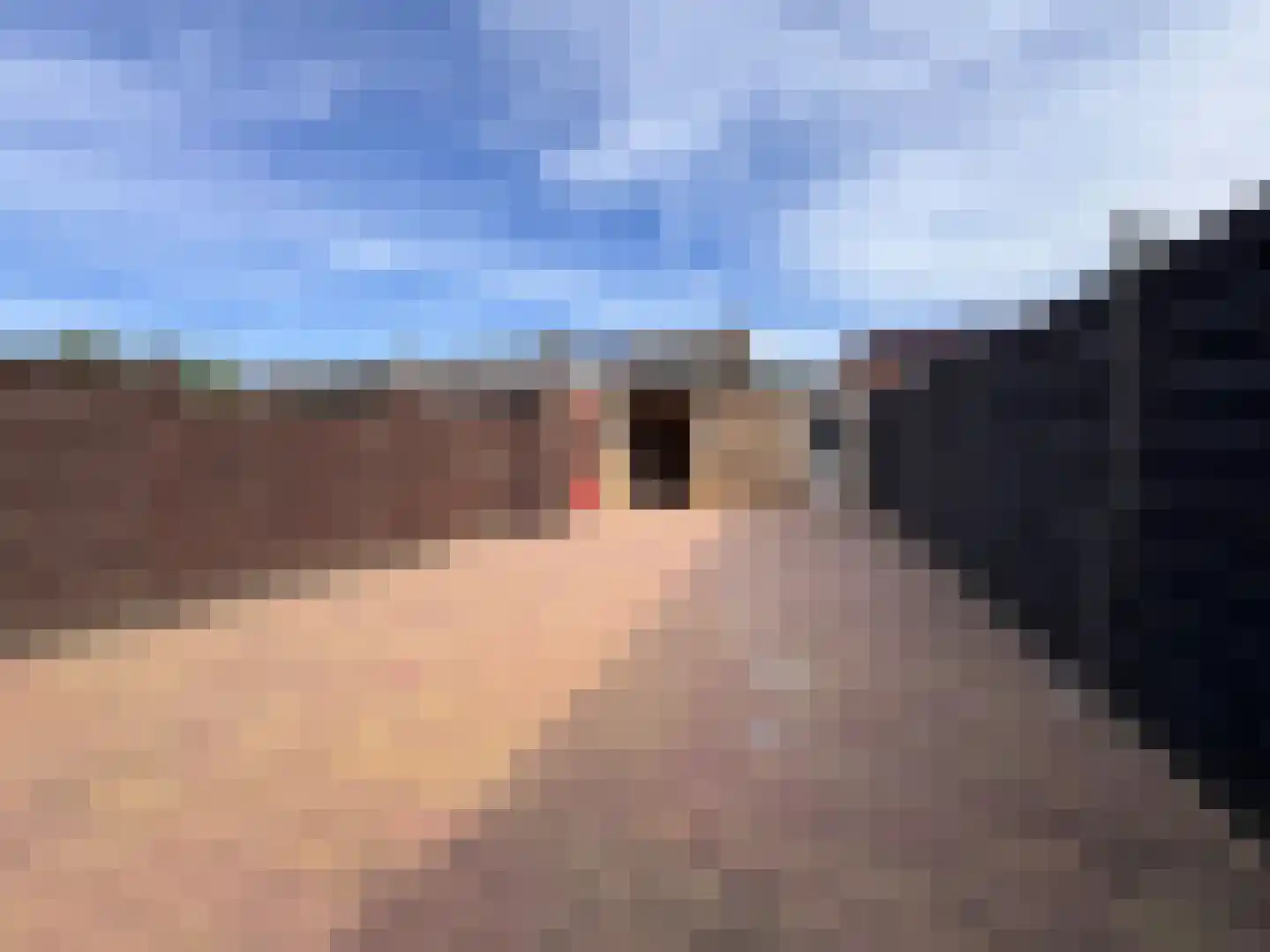 Drostlaan 38 Sluiskil thumbnail 16