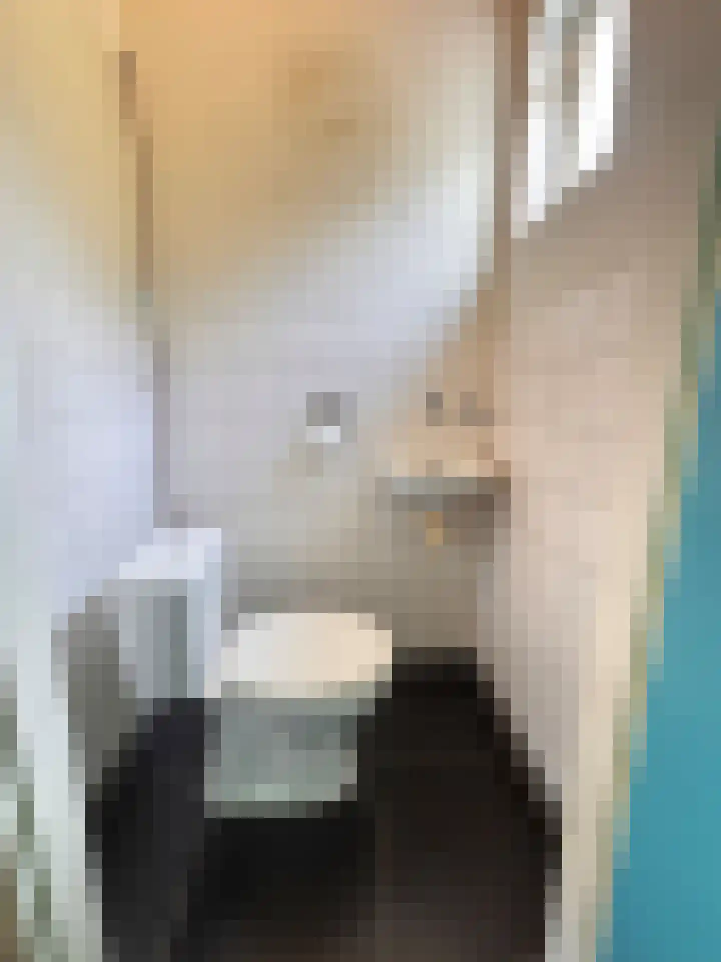 Drostlaan 38 Sluiskil thumbnail 7