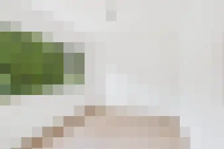 Drostlaan 42 Sluiskil thumbnail 18