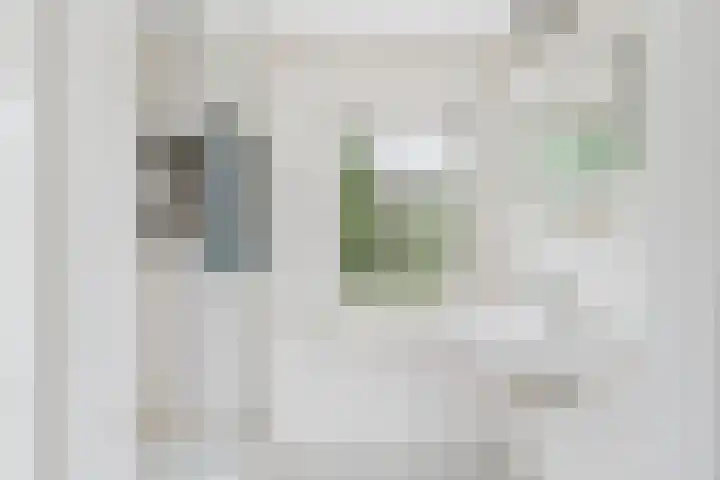 Drostlaan 42 Sluiskil thumbnail 20