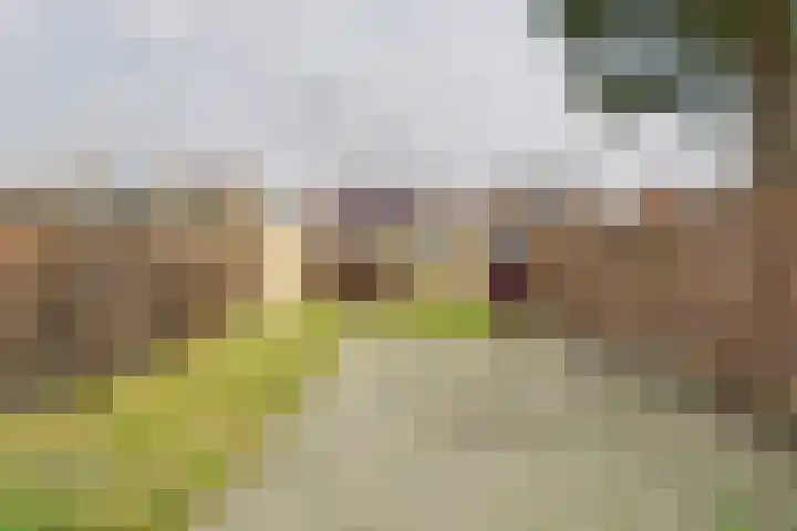 Drostlaan 42 Sluiskil thumbnail 24