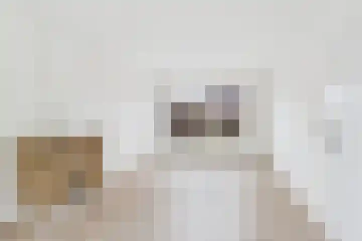 Drostlaan 42 Sluiskil thumbnail 7