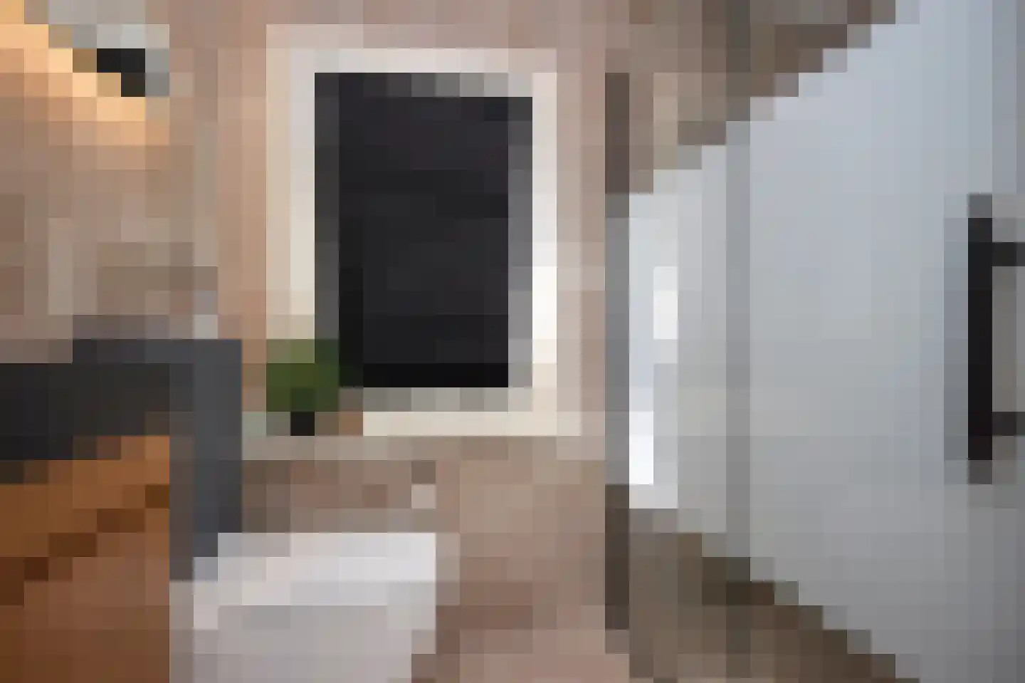 Drostlaan 44 Sluiskil thumbnail 11