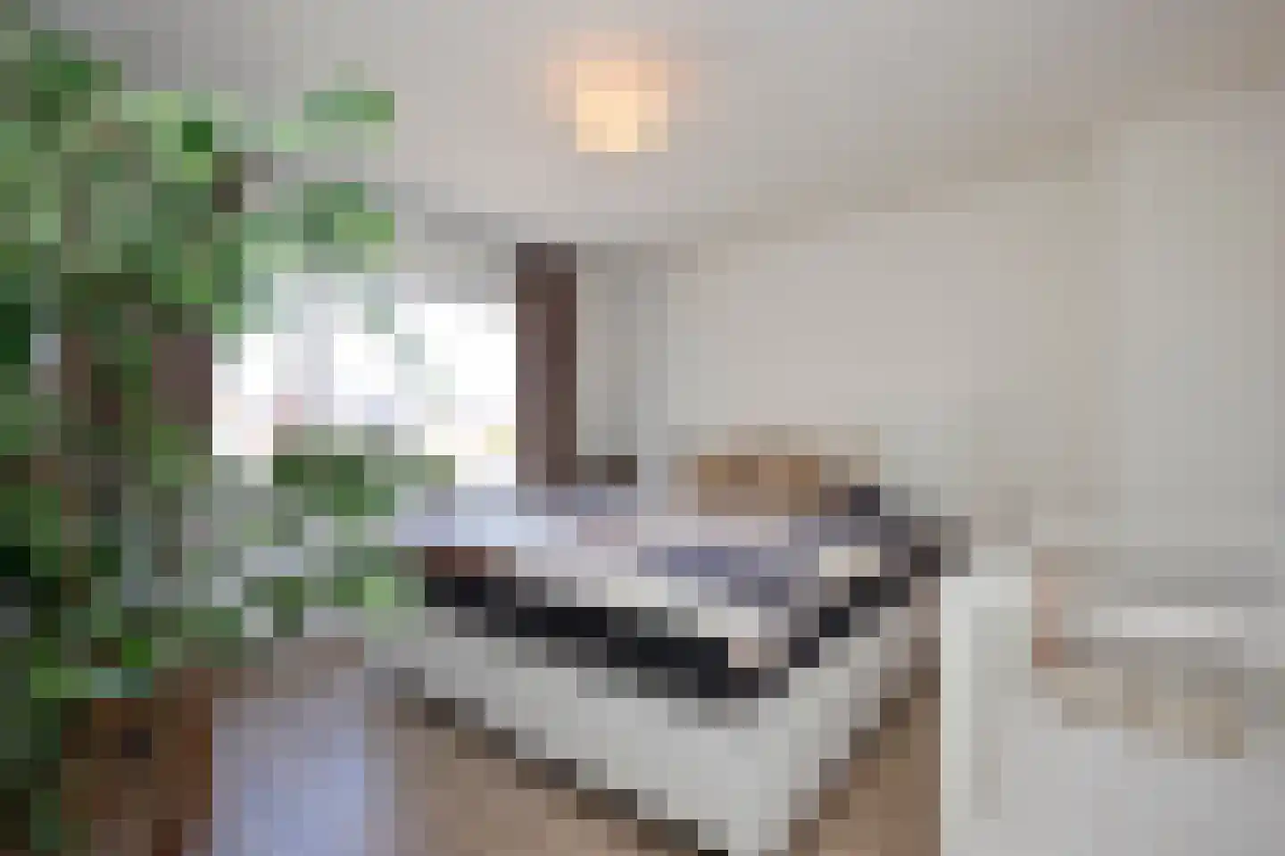 Drostlaan 44 Sluiskil thumbnail 12