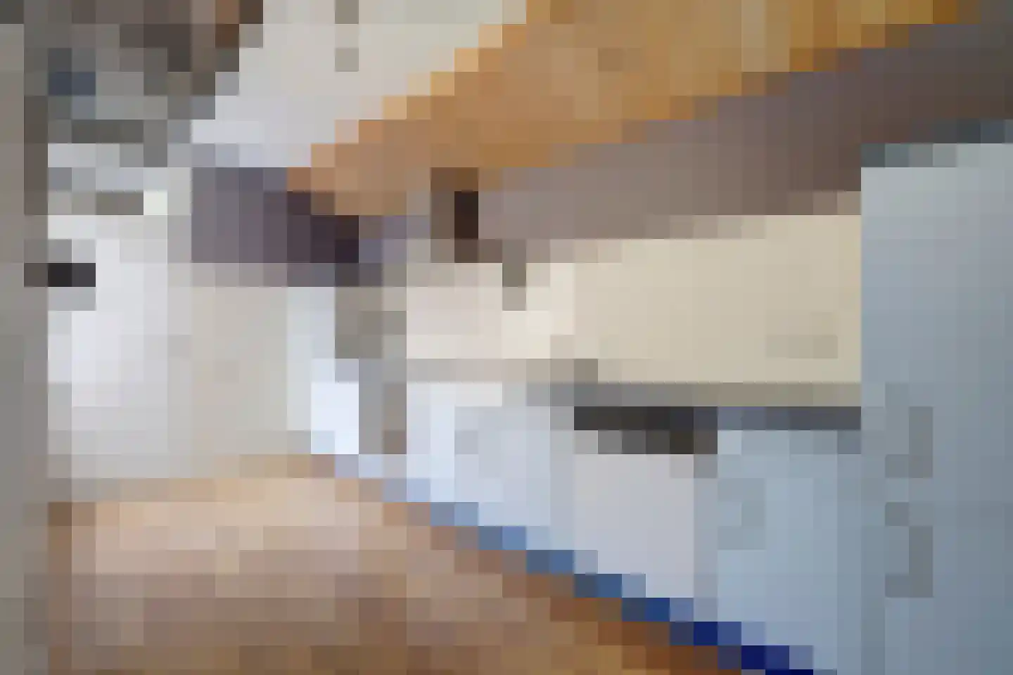 Drostlaan 59 Emmeloord thumbnail 10