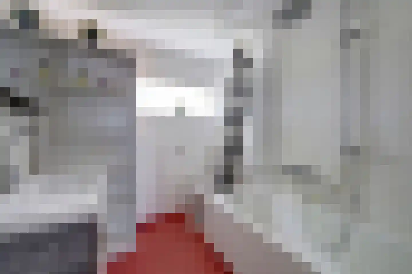 Drostlaan 59 Emmeloord thumbnail 22