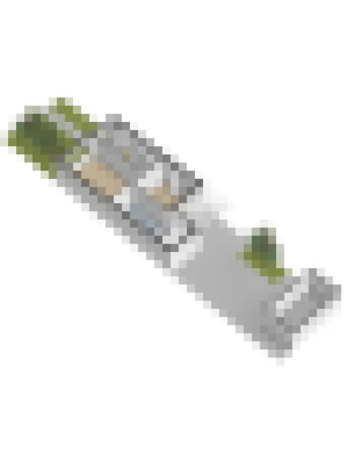 Drostlaan 59 Emmeloord thumbnail 36