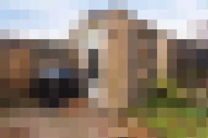 Drostlaan 78 Emmeloord thumbnail 24