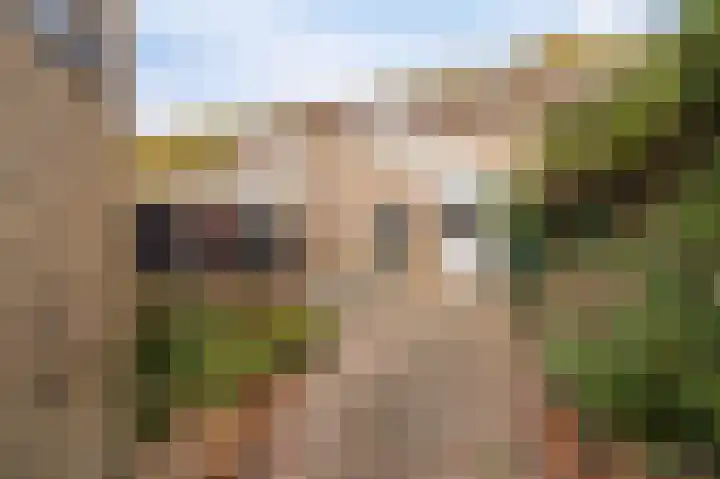 Drostlaan 78 Emmeloord thumbnail 4