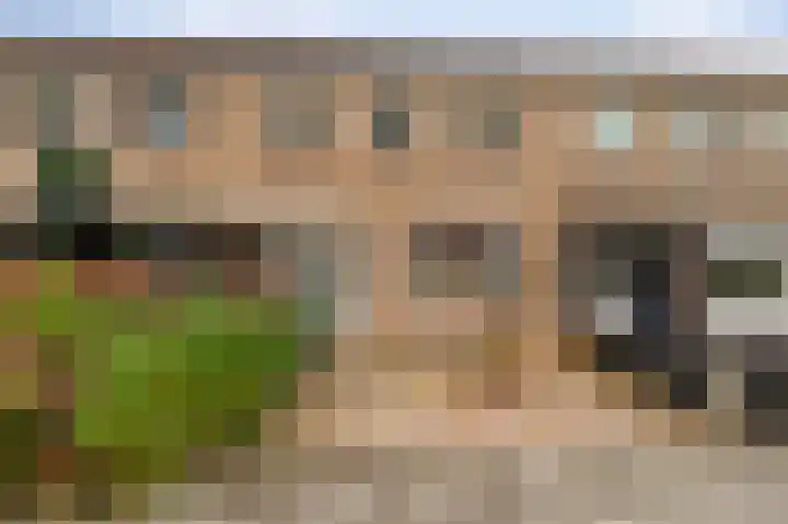 Drostlaan 78 Emmeloord thumbnail 9