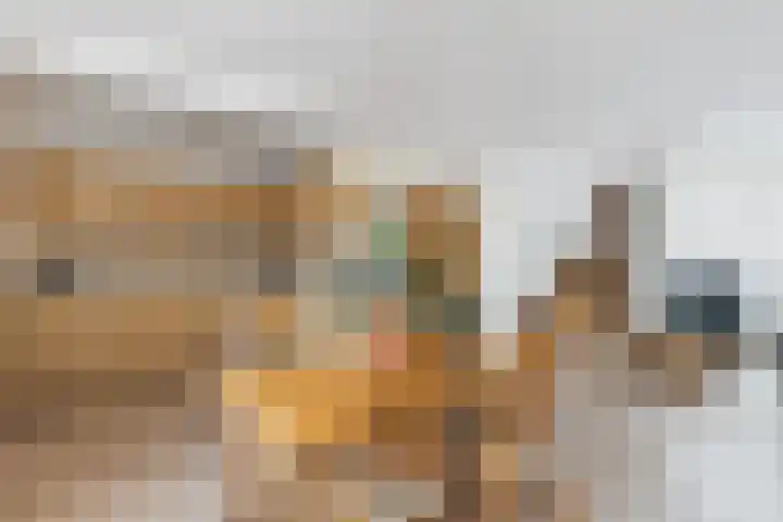 Drostlaan 8 a Sluiskil thumbnail 13