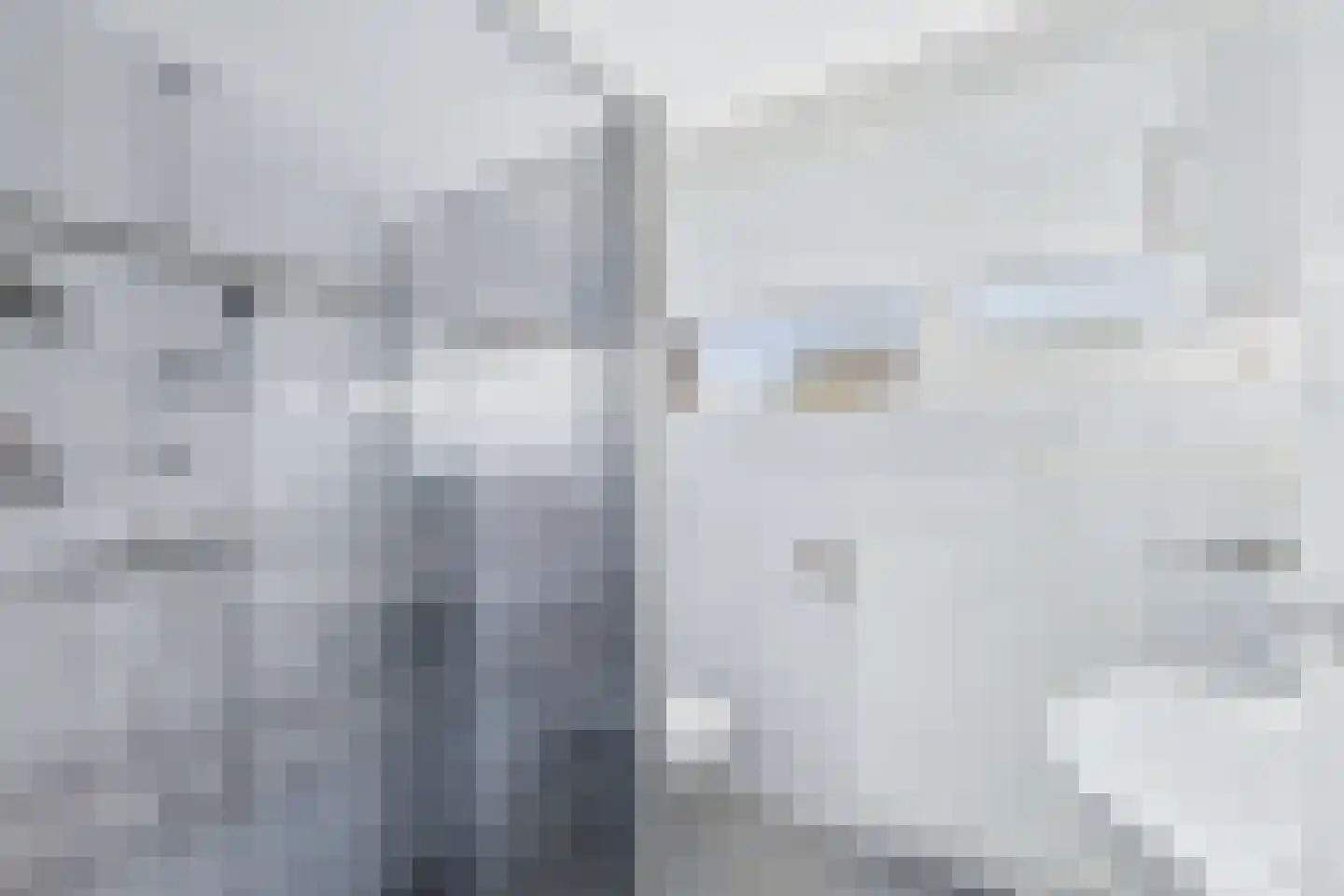 Drostlaan 8 a Sluiskil thumbnail 20