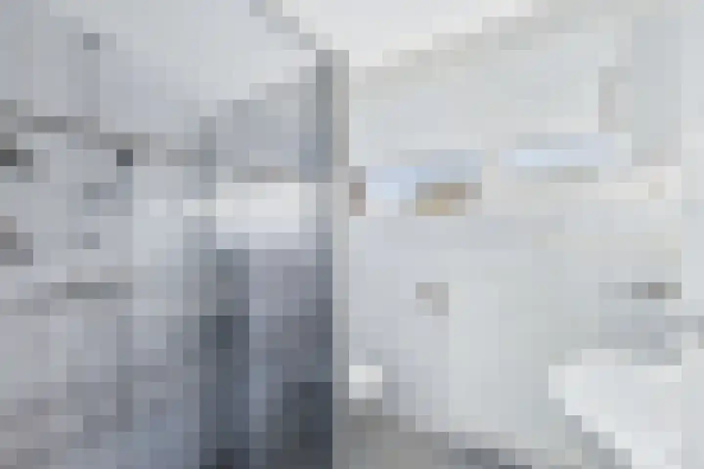 Drostlaan 8 a Sluiskil thumbnail 20
